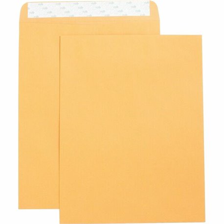 Business Source Self Adhesive Kraft Catalog Envelopes - Catalog - 10" Width x 13" Length - 28 lb - Self-sealing - Kraft - 250 / 