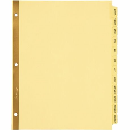 Avery Laminated Dividers - Gold Reinforced - 12 x Divider(s) - Printed Tab(s) - Month - January-December - 12 Tab(s)/Set - 8.5" 