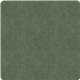 Flagship Carpets Amerisoft Solid Color Rug - 72" Length x 72" Width - Square - Sage Green - Polyester, Nylon