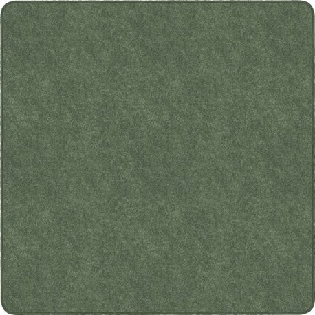 Flagship Carpets Amerisoft Solid Color Rug - 72" Length x 72" Width - Square - Sage Green - Polyester, Nylon