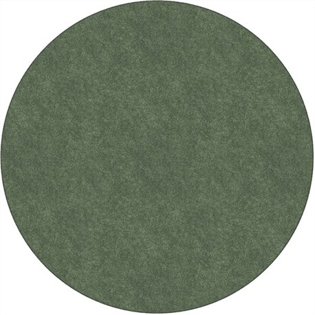 Flagship Carpets Amerisoft Solid Color Rug - 72" Diameter - Round - Sage Green - Nylon, Polyester