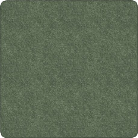 Flagship Carpets Amerisoft Solid Color Rug - 72" Length x 72" Width - Square - Sage Green - Polyester, Nylon