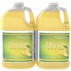 Provon LTX-12 Foaming Antibacterial Handwash - Floral ScentFor - 40.6 fl oz (1200 mL) - Pump Bottle Dispenser - Bacteria Remover
