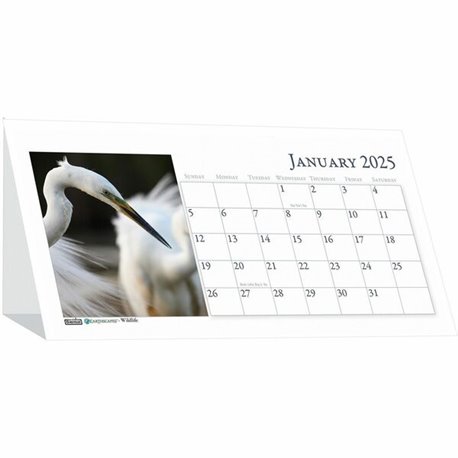 House of Doolittle Wildlife Photo Desk Top Tent Calendars - Julian Dates - Monthly - 12 Month - January 2025 - December 2025 - 1