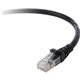 Belkin Cat.6 UTP Patch Cable - RJ-45 Male Network - RJ-45 Male Network - 14ft - Black