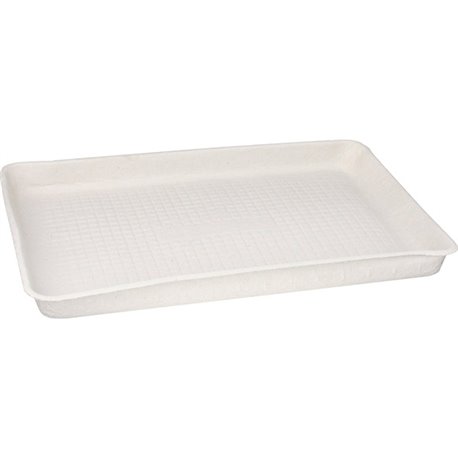 Chinet 9" x 12" Trays - Beige - Molded Fiber Body - 250 / Carton