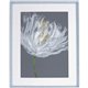 Lorell White Flower I Framed Abstract Art - 27.50" x 35.50" Frame Size - 1 Each - Gray, White