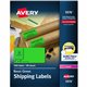 Avery 2"x 4" Neon Shipping Labels with Sure Feed, 1,000 Labels (5976) - 2" Width x 4" Length - Permanent Adhesive - Rectangle - 