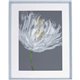 Lorell White Flower I Framed Abstract Art - 27.50" x 35.50" Frame Size - 1 Each - Gray, White