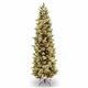 National Tree Christmas Tree - Clear, Green - Christmas Theme