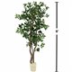 nudell 6ft Artificial Green Ficus Tree - 72" Tall - Ficus1 Each