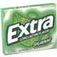 Mars Spearmint Flavored Chewing Gum - Spearmint - 10 / Box