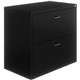 NuSparc 2-Drawer Lateral File - 30" x 17.6" x 27.7" - 2 x Drawer(s) for File - Letter - Lateral - Interlocking, Anti-tip, Ball B