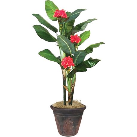 Golite nu-dell 7ft. Flowering Banana Tree - 84" Tall - Banana - Green - 1 Each