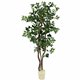 nudell 6ft Artificial Green Ficus Tree - 72" Tall - Ficus1 Each