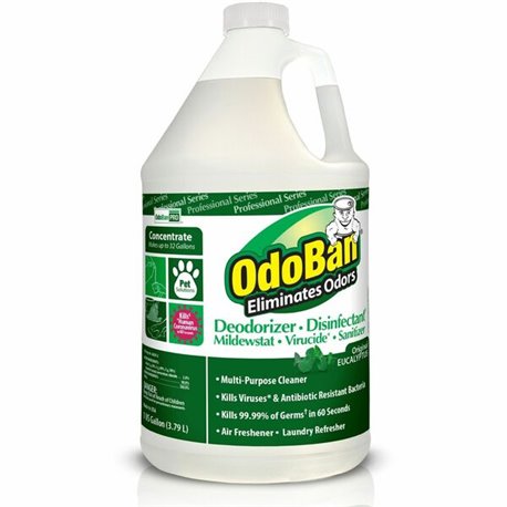 OdoBan Eucalyptus Multi-purpose Deodorizer Disinfectant Concentrate - Concentrate - 128 fl oz (4 quart) - Eucalyptus Scent - 1 E