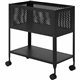 StarTech.com 2U 19" Rack Mount Security Cover - Hinged Locking Panel/ Cage/ Door for Server Rack/Network Cabinet Security & Acce