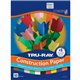 Tru-Ray Construction Paper - 12"Width x 9"Length - 50 / Pack - Assorted - Sulphite