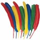 Creativity Street Quill Feathers - Multipurpose - 24 Piece(s) - 24 / Pack - Multicolor