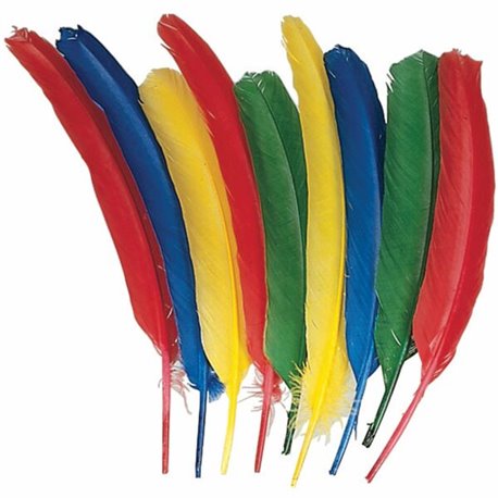 Creativity Street Quill Feathers - Multipurpose - 24 Piece(s) - 24 / Pack - Multicolor