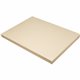 Pacon Tagboard - Art, Craft - 18"Width x 24"Length - 100 / Pack - Manila