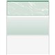 DocuGard High Security Green Marble Business Checks with 11 Features to Prevent Fraud - Letter - 8 1/2" x 11" - 24 lb Basis Weig