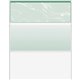 DocuGard High Security Green Marble Business Checks with 11 Features to Prevent Fraud - Letter - 8 1/2" x 11" - 24 lb Basis Weig