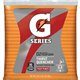 Gatorade Fruit Punch Thirst Quencher - Powder - 1.31 lb - 2.50 gal Maximum Yield - 1 / Pack