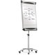 Quartet Euro Premium Mobile Magnetic Easel - 27" (2.2 ft) Width x 41" (3.4 ft) Height - White Porcelain Surface - Silver Aluminu