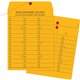 Quality Park 10 x 13 Double Sided Inter-Departmental Envelope - Inter-department - 10" Width x 13" Length - 28 lb - String/Butto