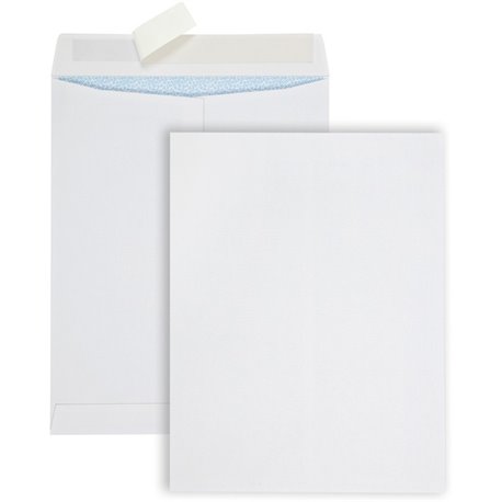 Quality Park Redi Strip Security Mailing Envelopes - Multipurpose - 13 1/2 - 10" Width x 13" Length - Peel Strip - 100 / Box - W