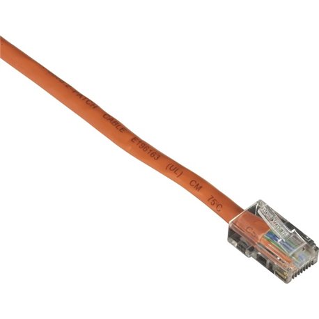 Black Box Cat. 5E UTP Patch Cable - RJ-45 Male - RJ-45 Male - 3ft - Orange