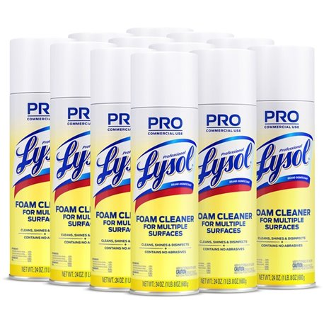 Professional Lysol Disinfectant Foam Cleaner - For Multi Surface - 24 oz (1.50 lb) - Fresh Clean Scent - 12 / Carton - Pleasant 