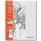 Roaring Spring Whitelines Premium Line Ruled Spiral Notebook - 70 Sheets - 140 Pages - Printed - Spiral Bound - Both Side Ruling