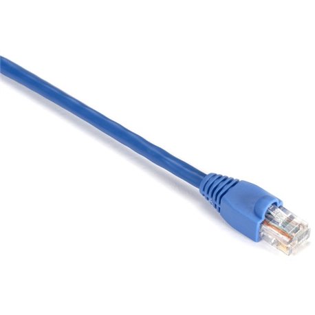 Black Box Gigabase Cat. 5E UTP Patch Cable - RJ-45 Male - RJ-45 Male - 1ft - Blue