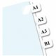 Redi-Tag Laser Printable Index Tabs - 675 Blank Tab(s) - 1" Tab Height x 0.43" Tab Width - Self-adhesive, Permanent - White Tab(