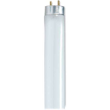 Satco 32-watt T8 Fluorescent Bulbs - 32 W - 120 V AC - T8 Size - Cool White Light Color - G13 Base - 24000 Hour - 6920.3&degF (3