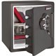 Sentry Safe Combination Fire/Water Safe - 1.23 ft� - Dual Key, Combination, Digital Lock - 4 Live-locking Bolt(s) - Fire Resista