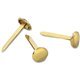 ACCO Brass Fasteners - 0.38" Head - 1" Length - Flexible, Heavy Duty, Corrosion-free, Self-piercing Point, Rust Proof - 100 / Bo