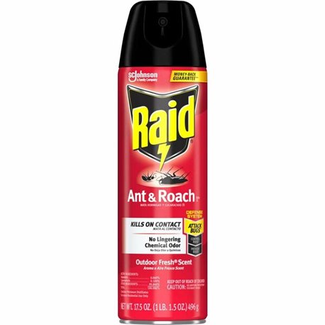 Raid Ant & Roach Killer Spray - Spray - Kills Cockroaches, Ants, Silverfish, Water Bugs, Palmetto Bug, Carpet Beetle, Earwig, Sp