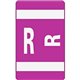 Smead AlphaZ ACCS Color-Coded Labels - "R" - 1" Width x 1 5/8" Length - Purple - 10 / Sheet - 100 / Pack