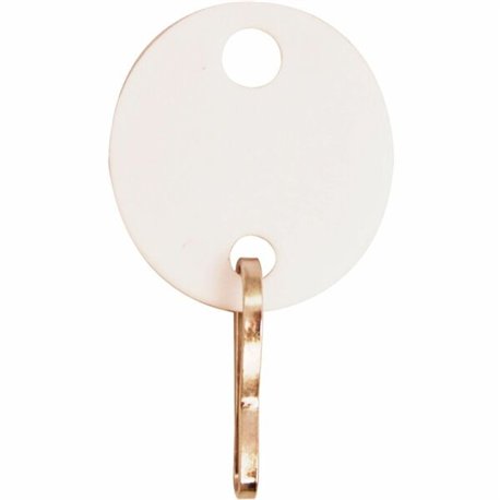 Sparco Oval Key Tags - 0.75" Length x 1.10" Width - Oval - Hook Fastener - 20 / Pack - Plastic - White