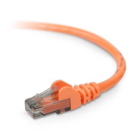 Belkin Cat.6 Patch Cable - RJ-45 Male - RJ-45 Male - 8ft - Orange