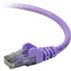 Belkin Cat.6 Patch Cable - RJ-45 Male - RJ-45 Male - 50ft - Purple