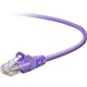 Belkin Cat. 5E UTP Patch Cable - RJ-45 Male - RJ-45 Male - 6ft - Purple