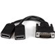 StarTech.com 8" DMS-59 to Dual DisplayPort Adapter Cable, 4K x 2K, DMS 59 pin (M) to 2x DP 1.2 (F) Splitter Y Cable, LFH to 2x D