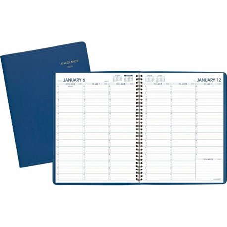 At-A-Glance Fashion Appointment Book Planner - Large Size - Julian Dates - Weekly - 1 Year - January 2025 - December 2025 - 8:00