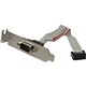 StarTech.com 9-pin Serial to 10-pin Header Slot Plate with Low Profile Bracket - Serial panel - DB-9 (M) - 10 pin IDC (F) - 23 c