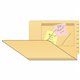 Tabbies Self-adhesive Poly Pockets - 6" Height x 9" Width - Clear - Poly - 100 / Box