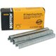 Bostitch PowerCrown Premium Staples - 210 Per Strip - 1/4" Leg - 1/2" Crown - Chisel Point - Silver - High Carbon Steel - 2" Hei